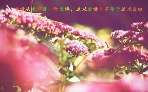 六年级想象作文:小溪的旅行