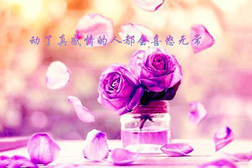 两便士用英语怎么说,两便士的英文翻译