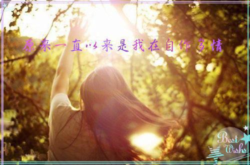 关于成功的作文:实干枝头开出绚丽花