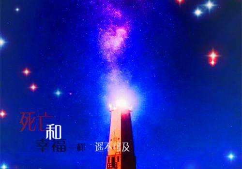 关于猫的作文:一只流浪猫 2