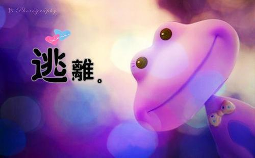 寒假生活:最充实的假期