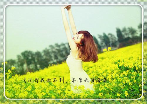 高中关于奋斗的作文:为理想而奋斗（七）