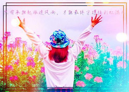 高二书信:一个小偷写给失主的信