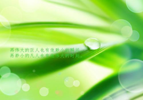 剌用英语怎么说,剌的英文翻译