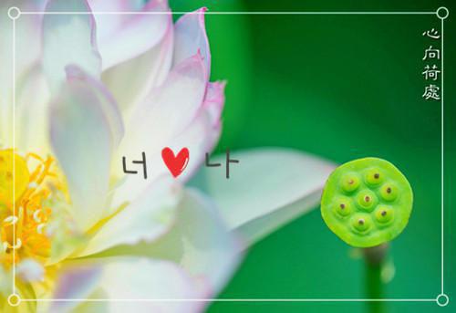 关于感谢的作文:感谢母校（二）