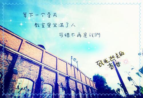 关于狐狸的故事狐狸想交友