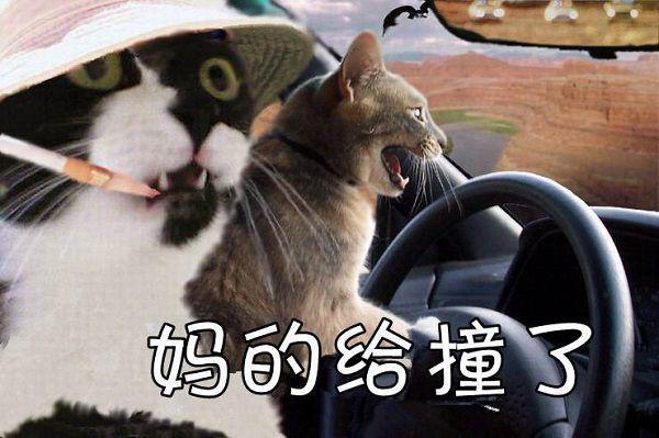 高三叙事作文:和平 19
