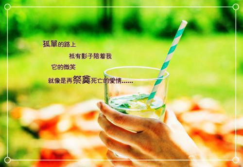 会计长用英语怎么说,会计长的英文翻译