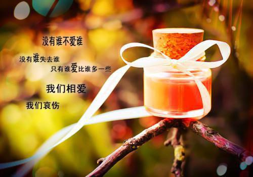 克制者用英语怎么说,克制者的英文翻译