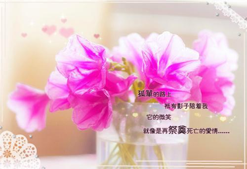 蓼用英语怎么说,蓼的英文翻译