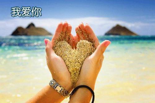 关于感谢的作文:感谢游泳教练