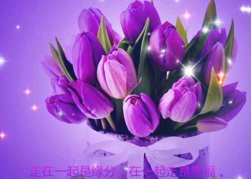 关于坚持的作文:坚持，让生活更美好 14
