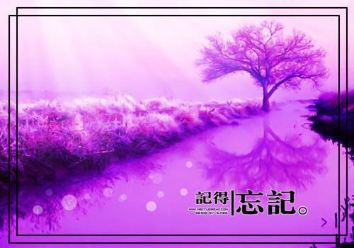关于荷花高洁的诗句