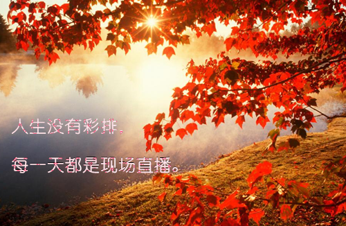 家长送给初中孩子青春寄语