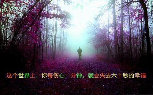 赞美丰收的诗句