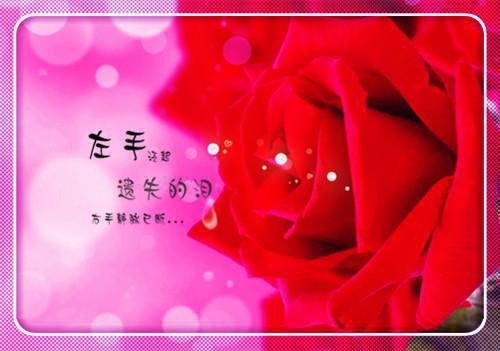 三体雄蕊用英语怎么说,三体雄蕊的英文翻译