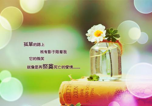 我的葫芦丝老师