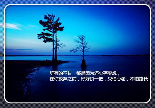 《海上钢琴师》电影观后感范文