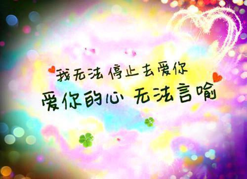 蜘蛛的日记