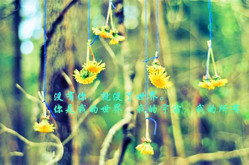 【每日小记】放风筝的启示