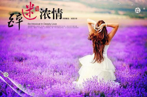 四年级日记:风吹过树林