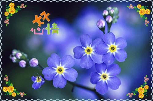 青葱岁月忙