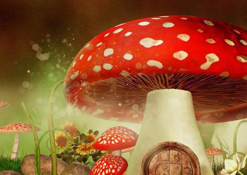 初三读后感:《幻城》读有感