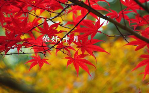 寻找春天作文:找到春天二十二