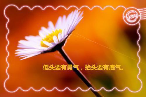 关于夏天的作文:初夏的雨 10