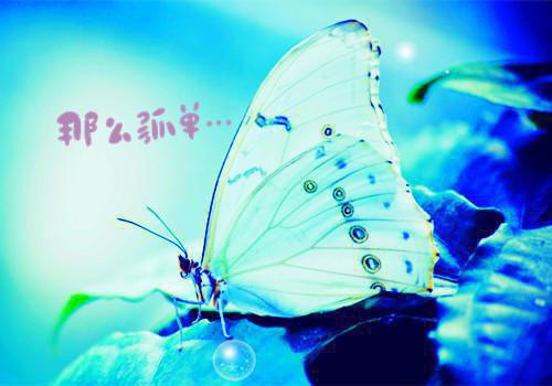 五年级日记:吃南瓜子