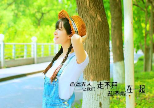 初一观后感:《南京南京》观后感十一