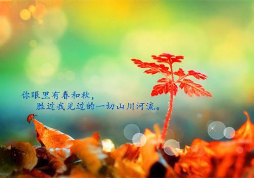 六年级童话寓言作文:大王花和花儿们