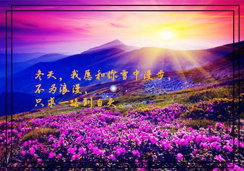 录像机用英语怎么说,录像机的英文翻译