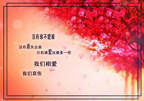 初三书信:学习
