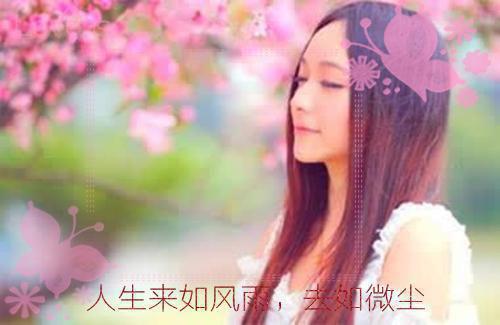 秋天的校园中学作文:美丽的校园 2