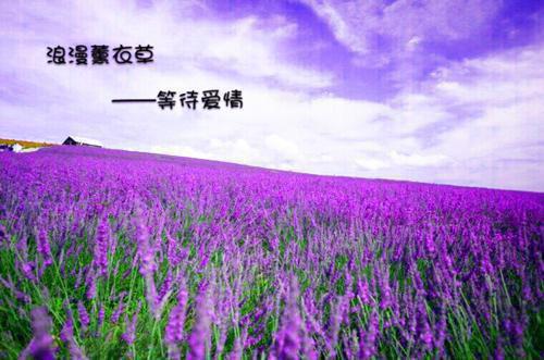 货轮用英语怎么说,货轮的英文翻译