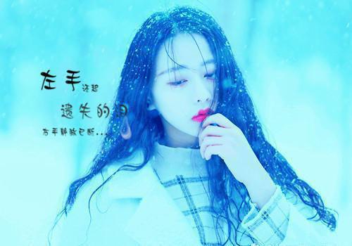 高二议论散文:雪地中丢失的梦想