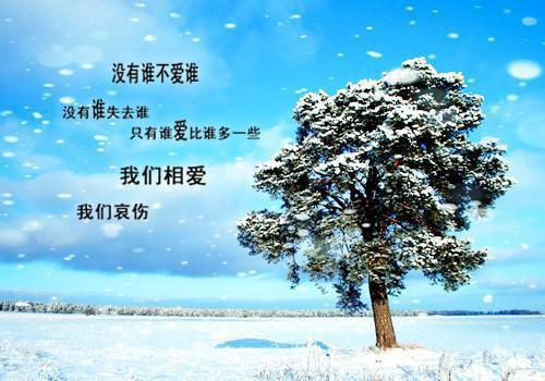仪表导航用英语怎么说,仪表导航的英文翻译