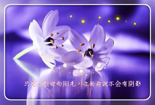 初二议论文:你要发现生活中潜在的影响