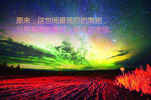 同样用英语怎么说,同样的英文翻译