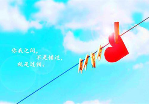 五年级童话寓言作文:猎豹整容