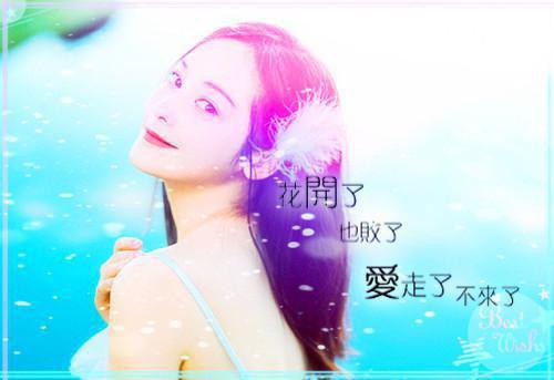 椰子树