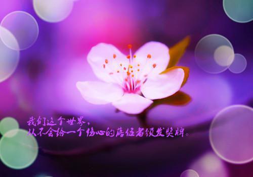 游乐用英语怎么说,游乐的英文翻译