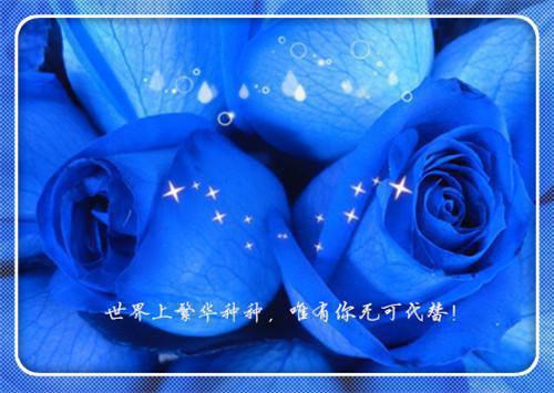 五年级书信作文:给琼瑶阿姨的一封信