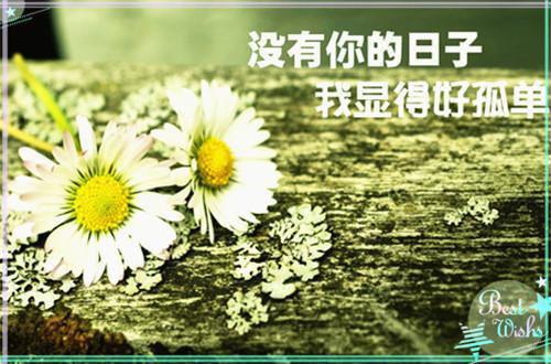 三年级日记:老师变大厨