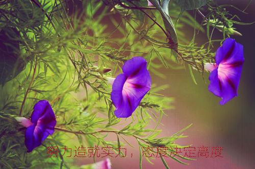 一年级日记:听故事