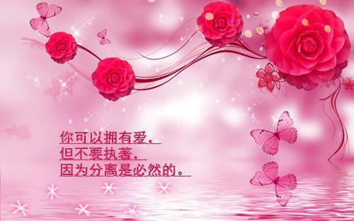 感人爱情故事集