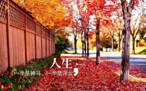 尾用英语怎么说,尾的英文翻译