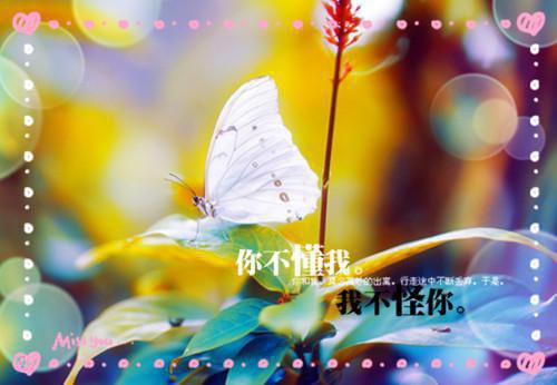 初三议论文:桃李不言下自成蹊
