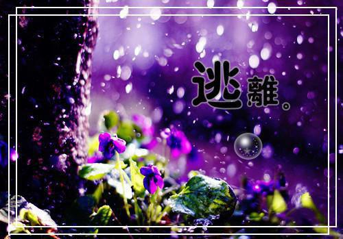 关于大海的作文:大海之旅 3